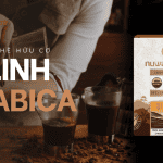 Cà phê hữu cơ Arabica – Hương vị thượng hạng cho sức khỏe