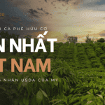 Nuwa Coffee: Trang trại cà phê hữu cơ lớn nhất Việt Nam – Đạt chứng nhận USDA